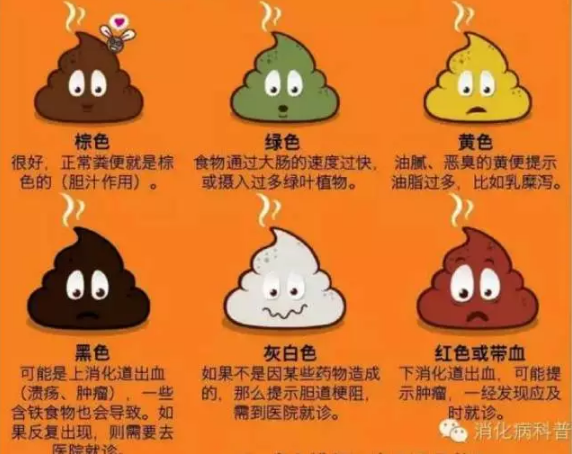 时常便血 是痔疮还是直肠癌?-春雨医生